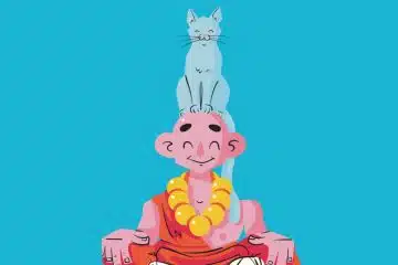 Como animar um gato usando DUIK e Joysticks ‘n Slider no After Effects