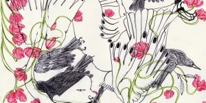 Gaia Alari ,sentimentos universais e stop motion