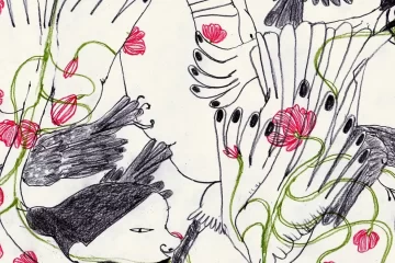 Gaia Alari ,sentimentos universais e stop motion