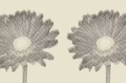 Rob Farmer e suas Flores de Dados e Jardins Glitchados