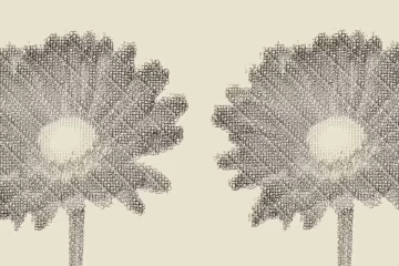 Rob Farmer e suas Flores de Dados e Jardins Glitchados