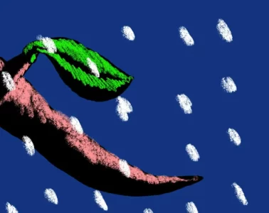 A Animação Mágica de Orfeo Tagiuri