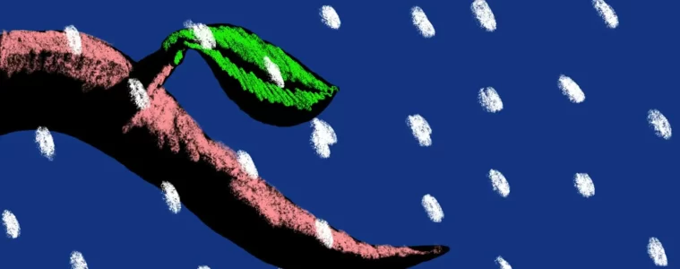 A Animação Mágica de Orfeo Tagiuri