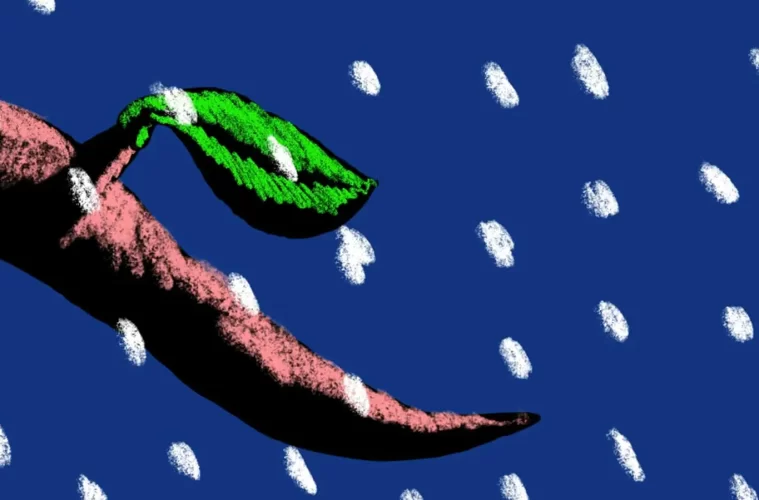 A Animação Mágica de Orfeo Tagiuri